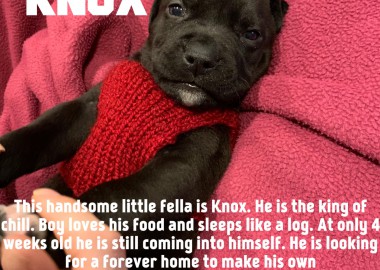 67446355 1060270360833921 2872776823974920192 n