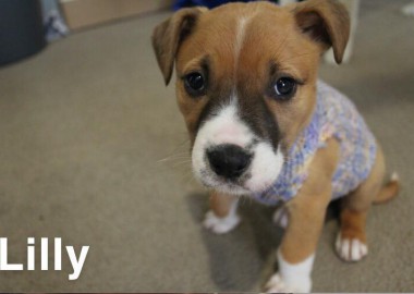 67565720 1310128315832558 7062733110185558016 n