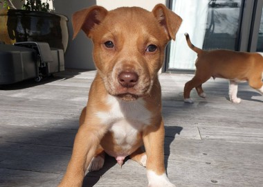 67569134 2348724038514323 6689476941512179712 n