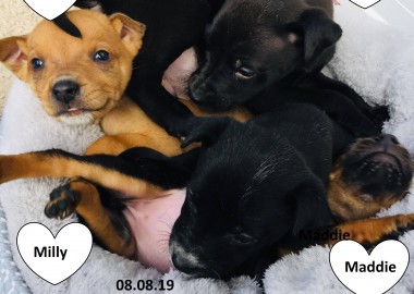 67618961 219517342292588 9149328638917738496 n