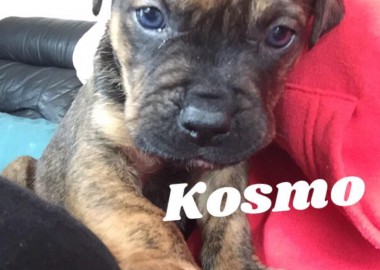 67760374 2318992221724825 8589061051486568448 n