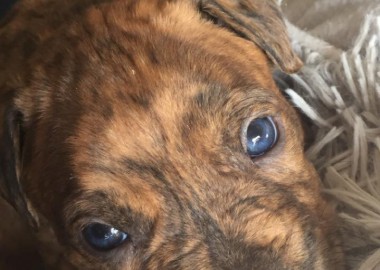 67801127 507067486713269 3377014132078280704 n