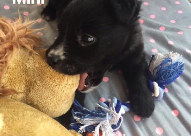 67883649 2275026479262695 1139956836586225664 n