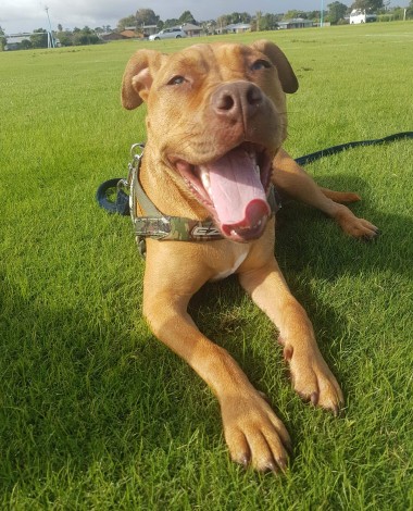 received 2346535555372056